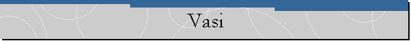 Vasi