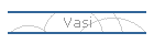 Vasi