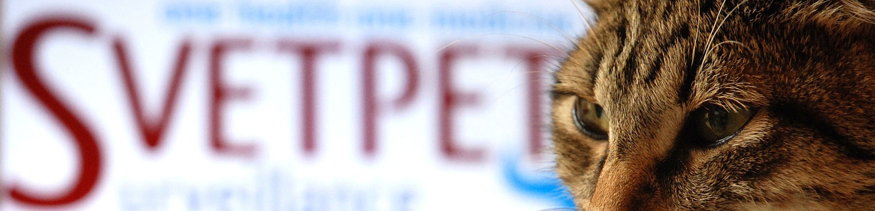 logo of the SVETPET project